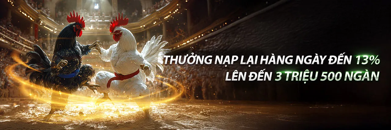 Cá cược thể thao đỉnh cao tại KU711