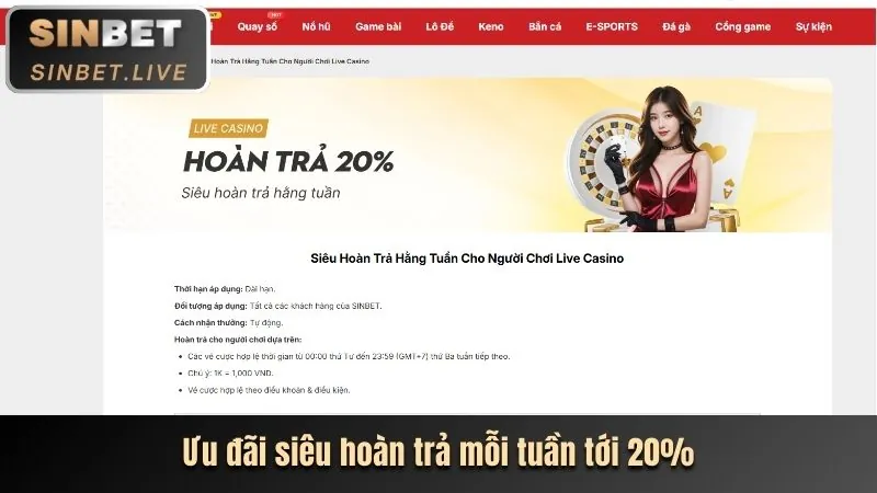 Cẩm nang casino KU711 cho người mới